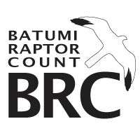 Batumi Raptor Count logo