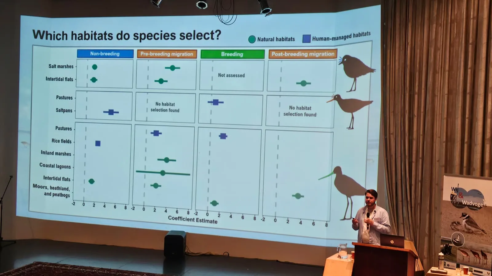 Tohar Tal presenting at the International Wader Study Group Conference